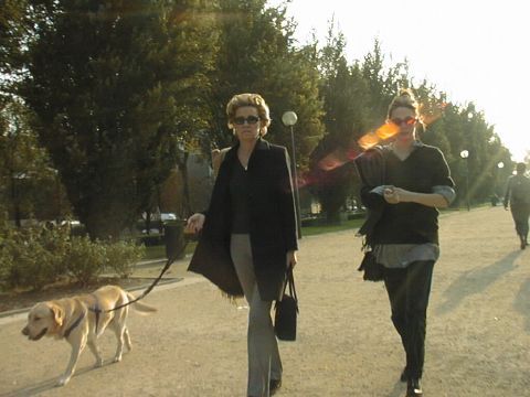 Le Chien