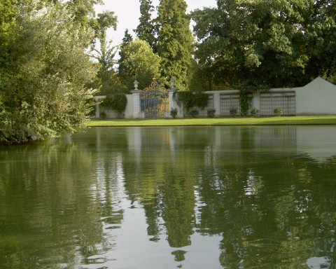 Reflection