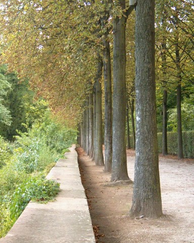 Avenue