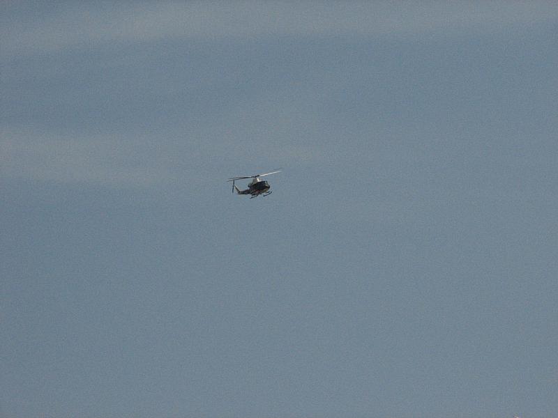 IMG_8261