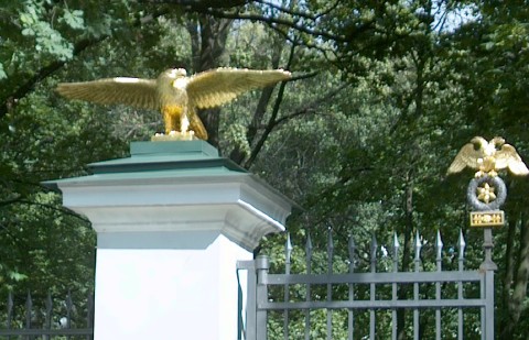 Eagles