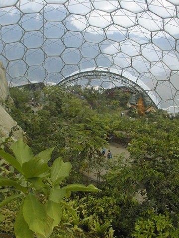 Dome