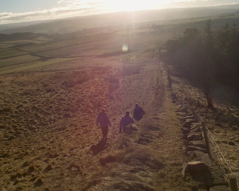 Head into the light