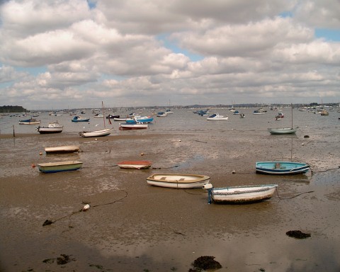 Poole Harbour