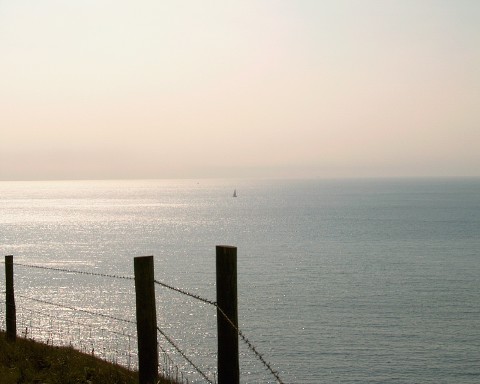 Sailboat