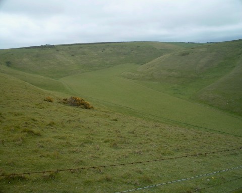 Scratchy Bottom