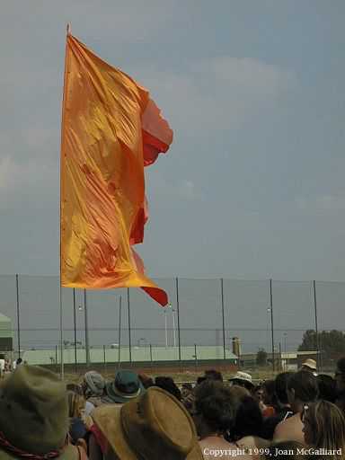 Flags