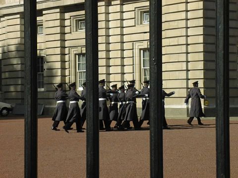 Paramilitary adult organisation