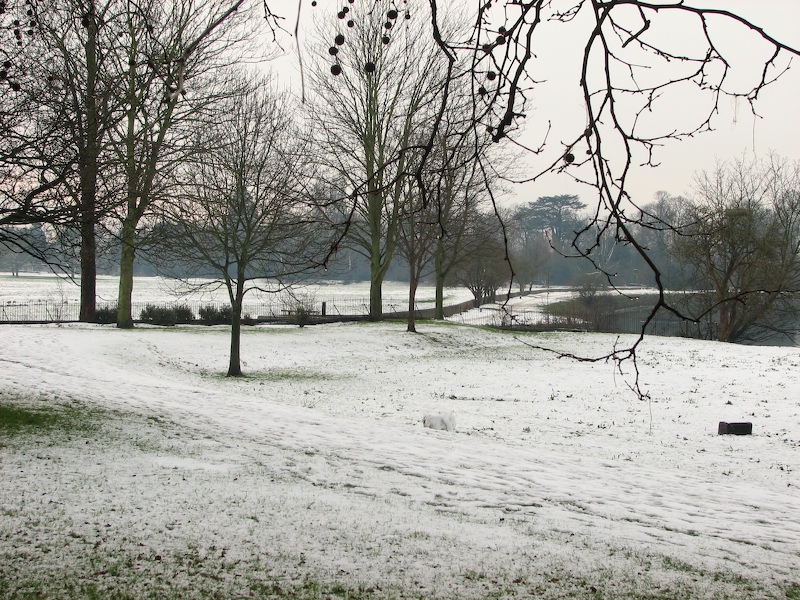 Richmond meadow