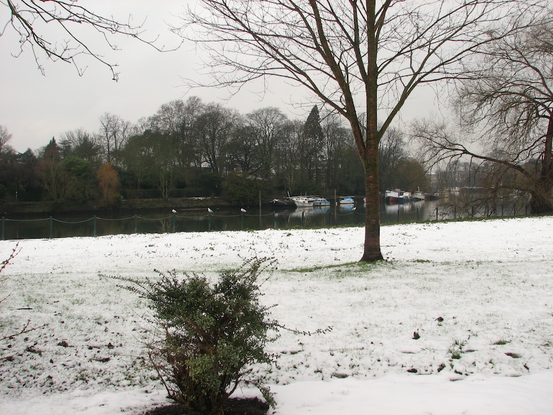Richmond meadow