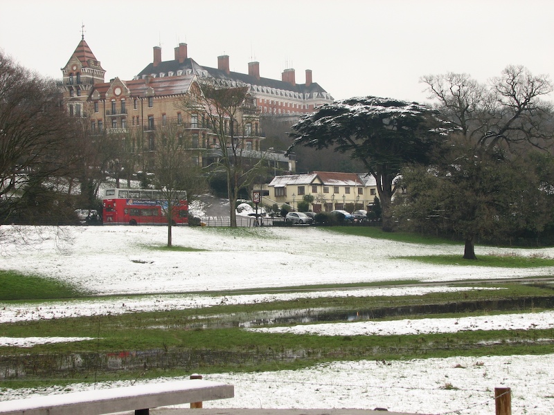 Richmond meadow