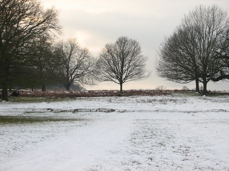 Richmond Park