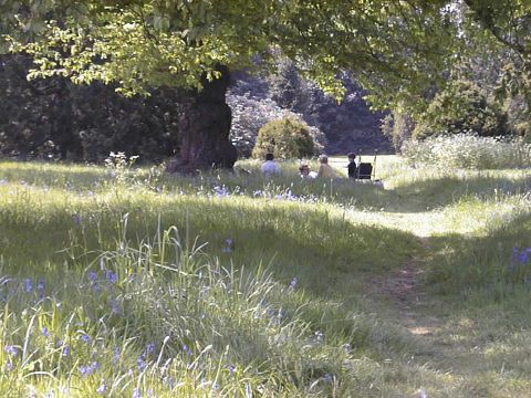 Picnic