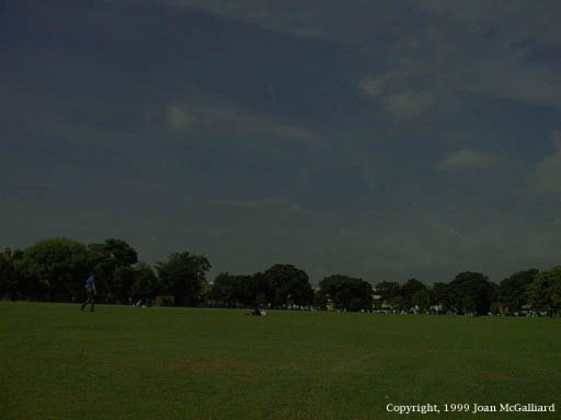 Image01