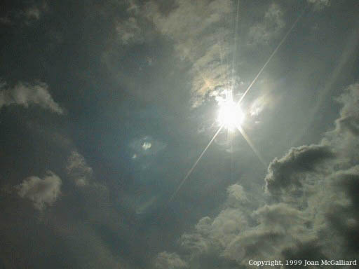 Image04