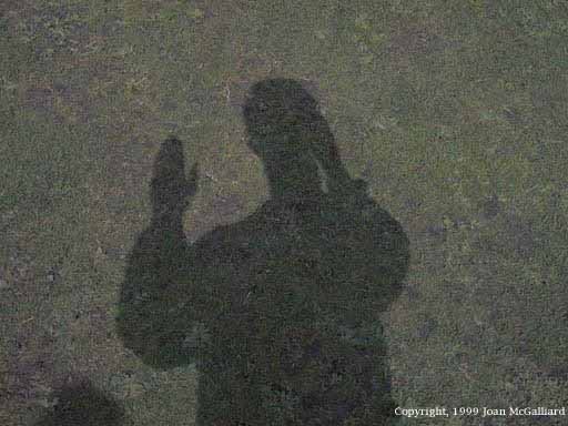 Image08