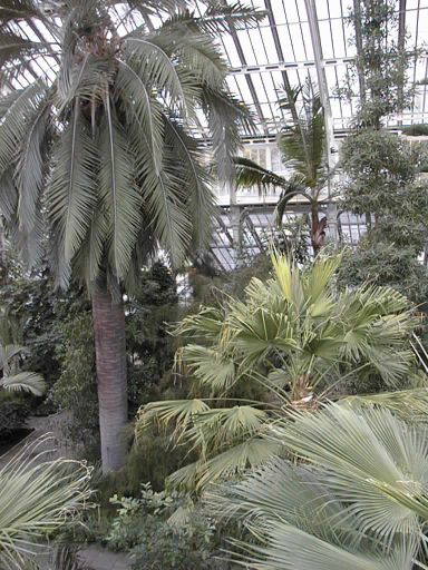 Inside Temperate House