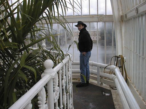 pm in the Palm House