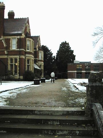 Silwood: Deep and Crisp and Even