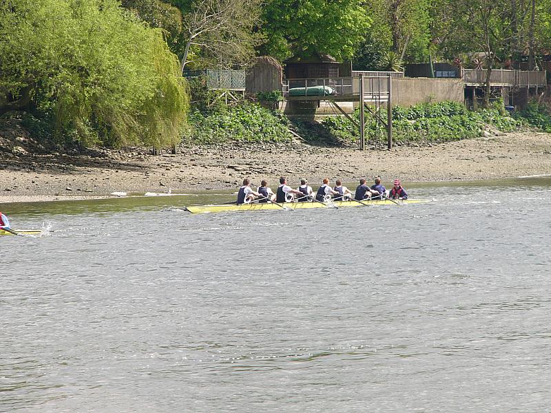 Chiswick Regatta 011.jpg