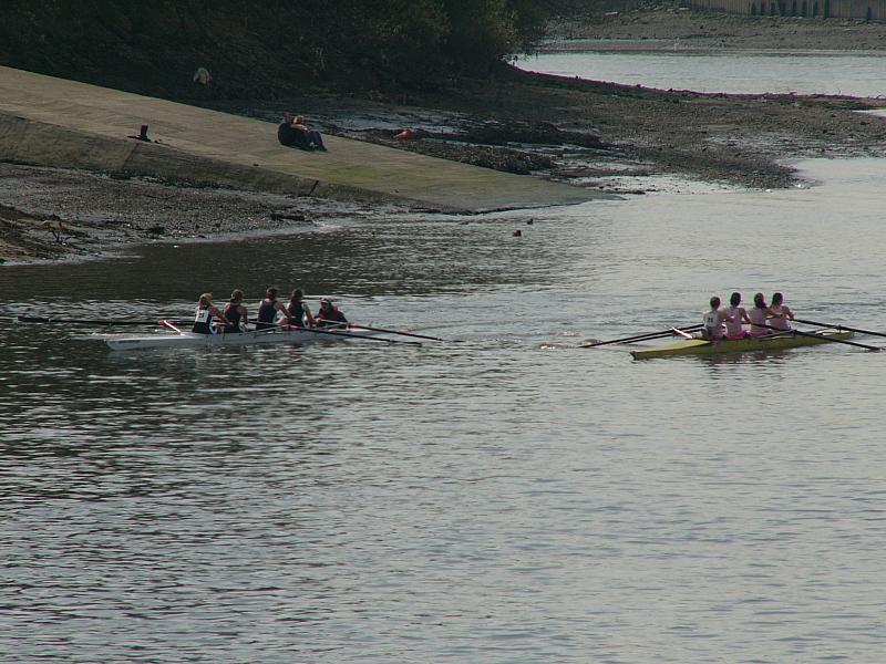 Hammersmith Regatta 011.jpg