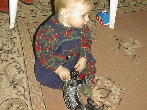 Danya and the lizard get to know one another