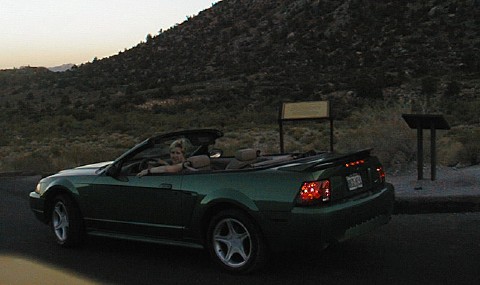 Joan and her Mustang