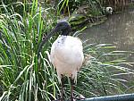 IMG_2736.JPG