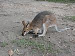 IMG_2745.JPG