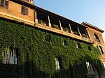 IMG_8724