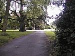 The Bishops Palace, Exeter