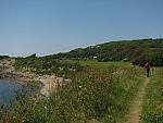 IMG_2943.JPG