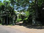 IMG_2960.JPG