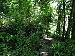 IMG_2962.JPG