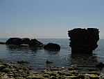 IMG_2963.JPG