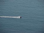 IMG_2973.JPG