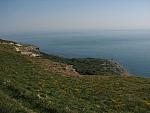 IMG_2978.JPG