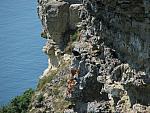 IMG_2979.JPG