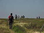 IMG_2982.JPG
