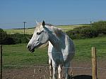 IMG_2996.JPG