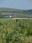 IMG_3005.JPG