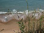 IMG_3008.JPG