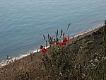 IMG_3009.JPG