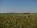 IMG_3010.JPG