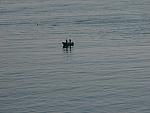 IMG_3022.JPG