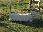 IMG_3049.JPG