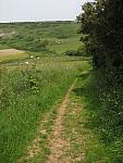 IMG_3157.JPG