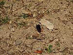 IMG_3177.JPG