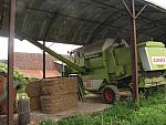 IMG_3212.JPG