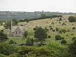 IMG_3310.JPG